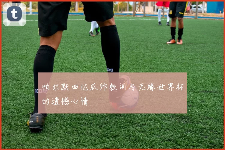 帕尔默回忆瓜帅教训与无缘世界杯的遗憾心情