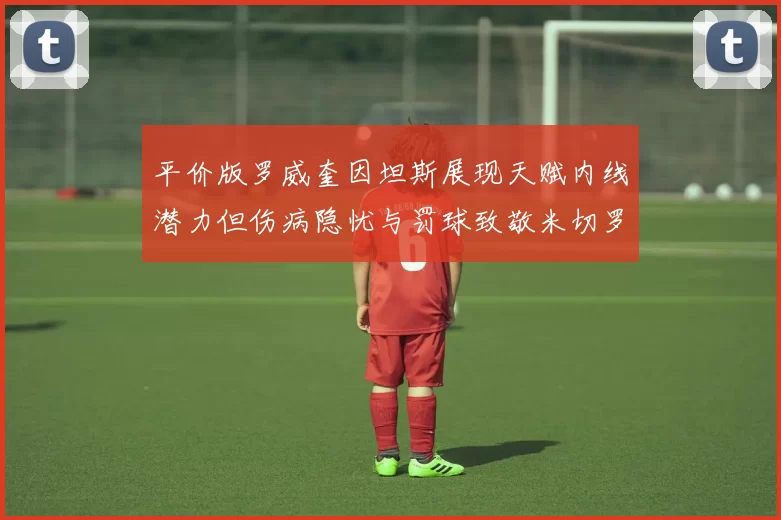 平价版罗威奎因坦斯展现天赋内线潜力但伤病隐忧与罚球致敬米切罗